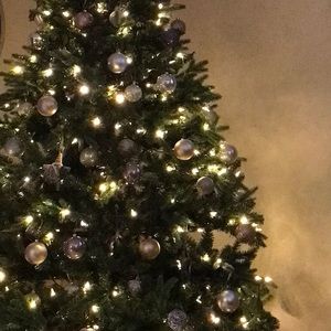 Meet your Posher, Sue